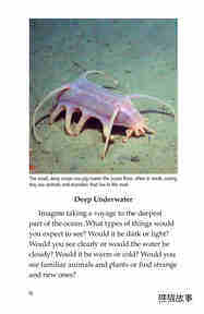 Deep in the Ocean绘本故事第3页