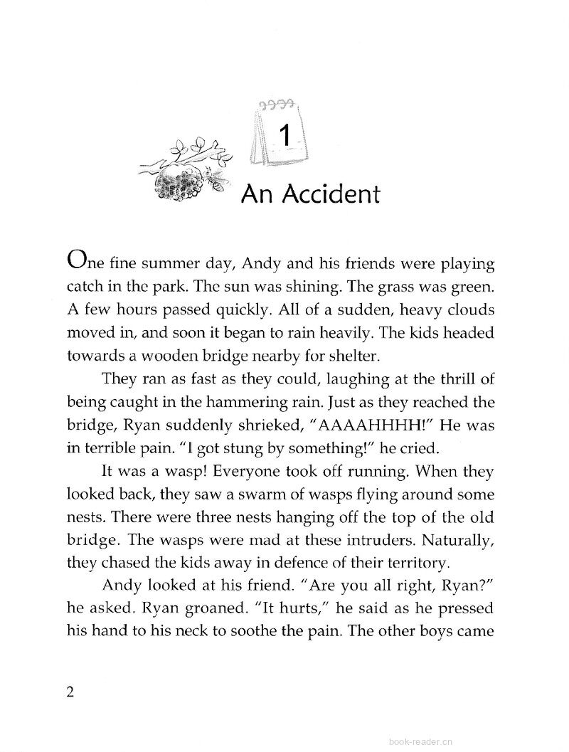 An Accident绘本故事第3页