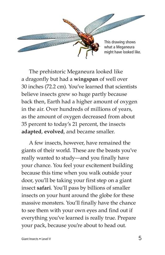 Giant Insects绘本故事第4页