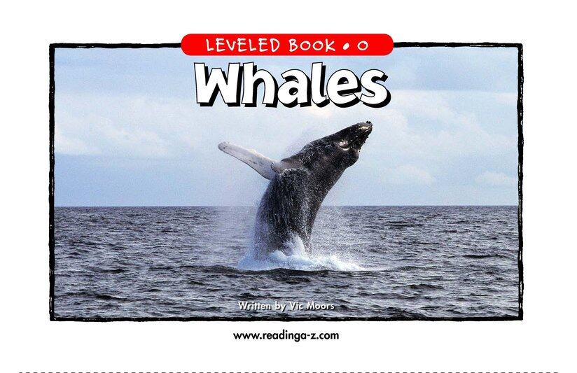 Whales绘本故事第2页