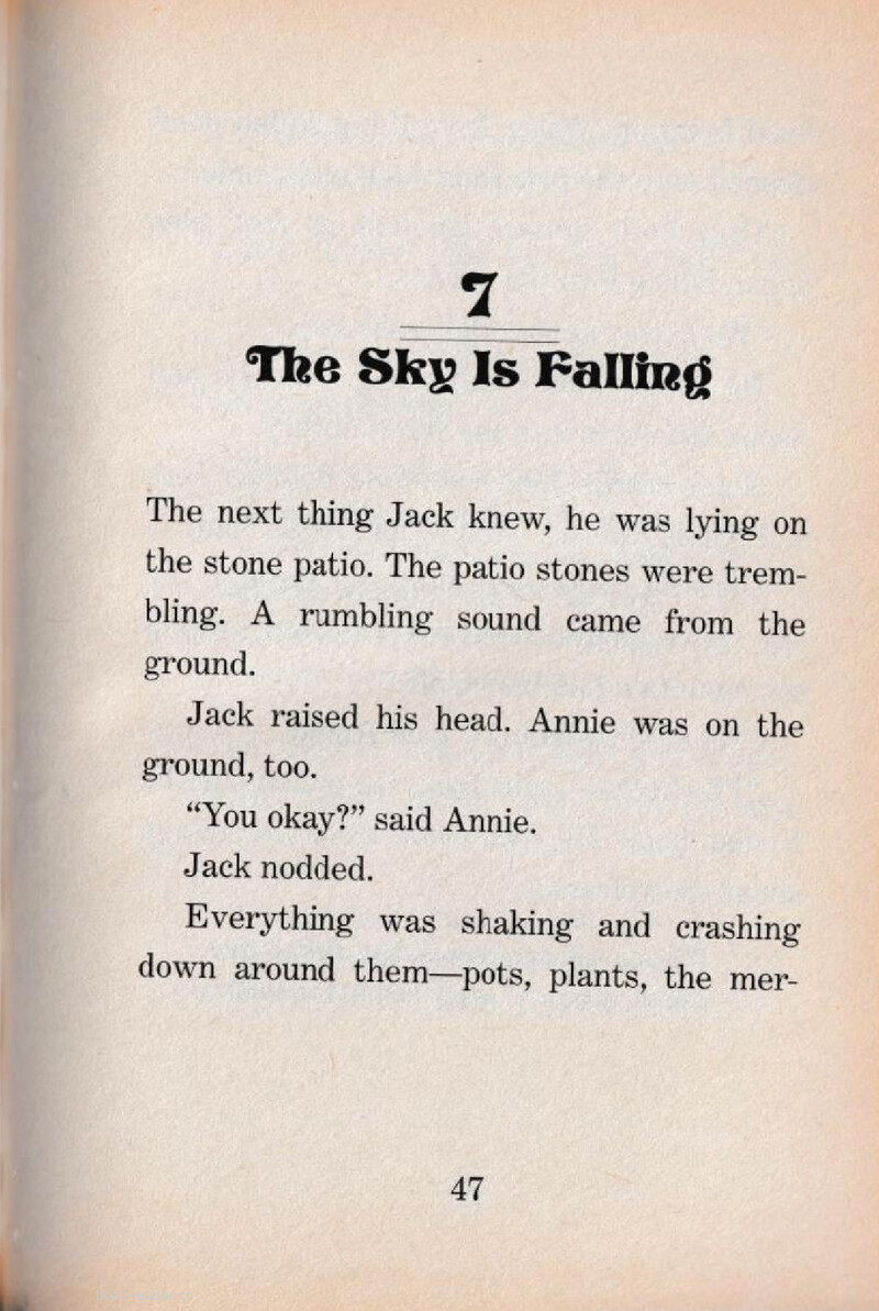 07 The Sky Is Falling绘本故事第2页