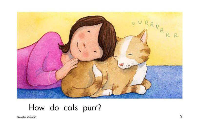 I Wonder绘本故事第5页