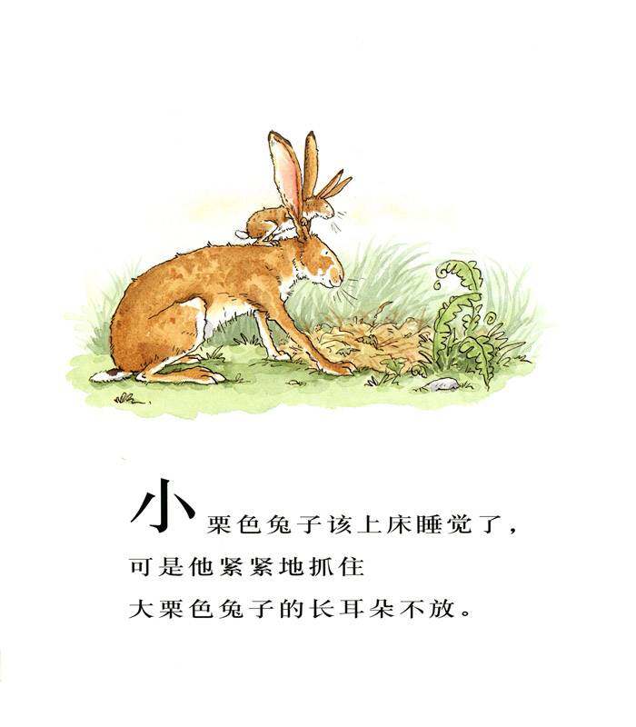 猜猜我有多爱你绘本故事第2页