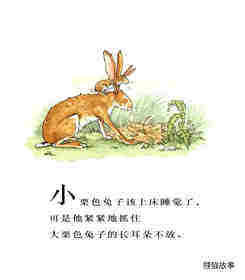 猜猜我有多爱你绘本故事第2页