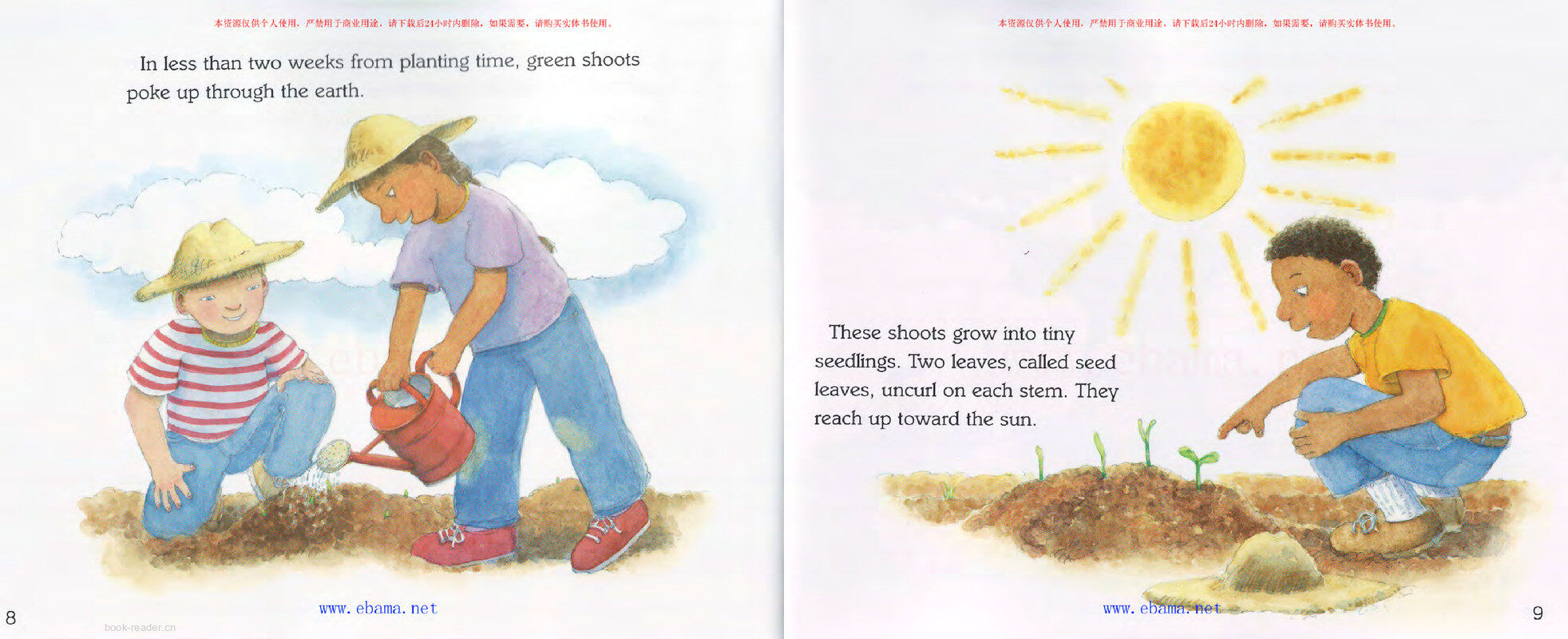 Seed to Pumpkin绘本故事第5页