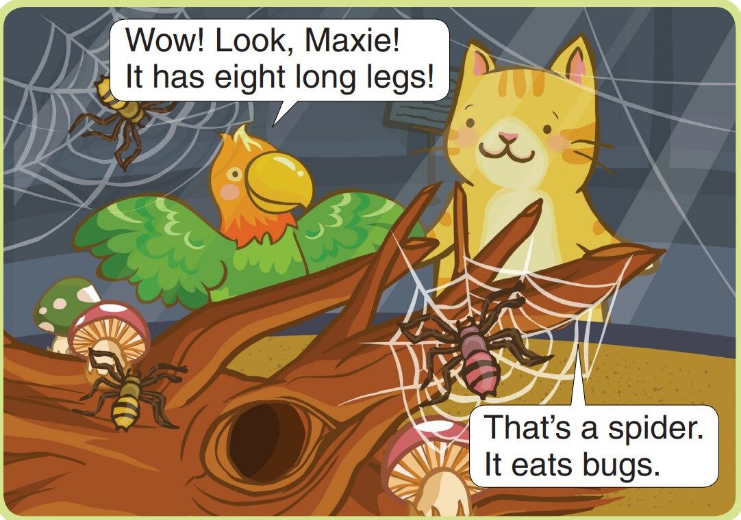 It Has Eight Long Legs绘本故事第4页