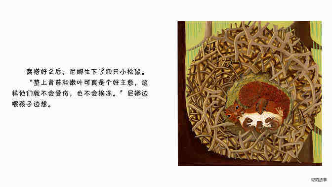 松鼠绘本故事第5页