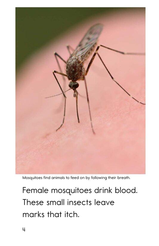 A Taste for Blood绘本故事第4页