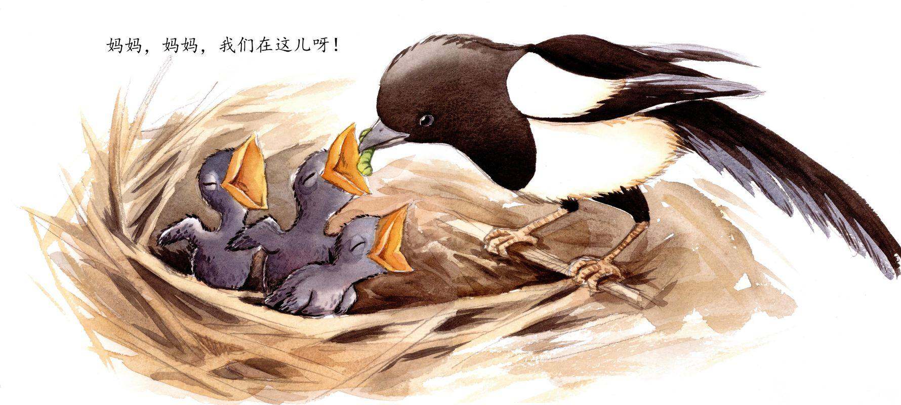 宝贝绘本故事第3页