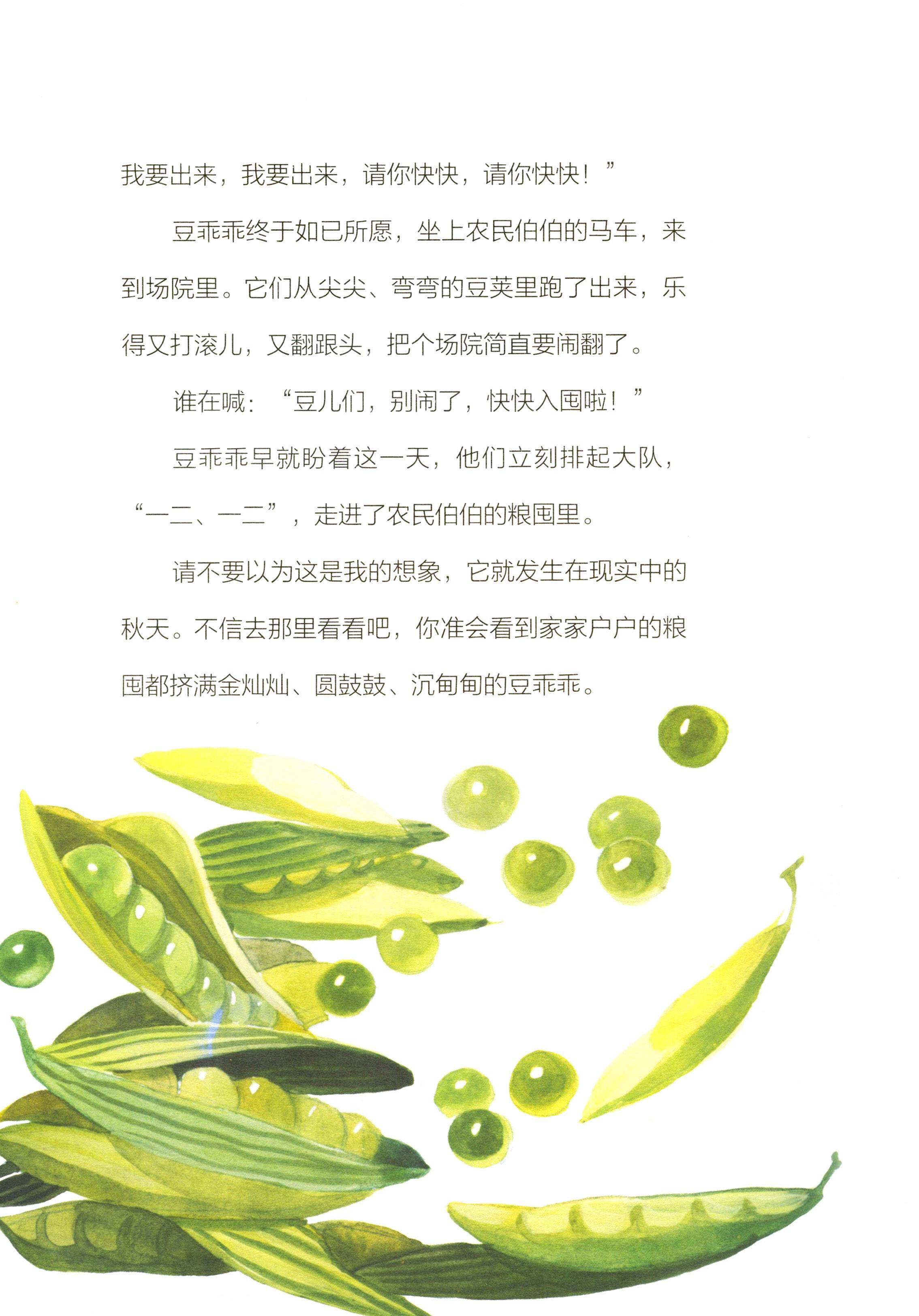 圆鼓鼓的豆乖乖绘本故事第3页