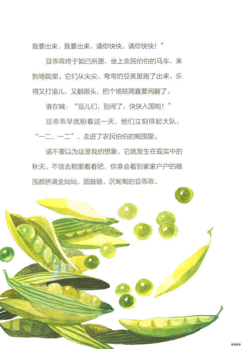 圆鼓鼓的豆乖乖绘本故事第3页