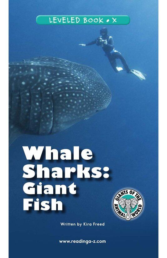 Whale Sharks Giant Fish绘本故事第2页