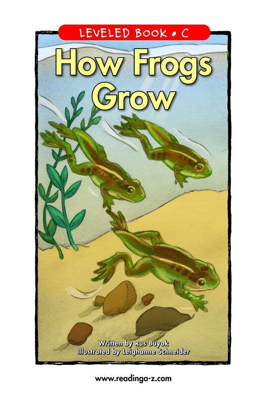 How Frogs Grow绘本故事第2页