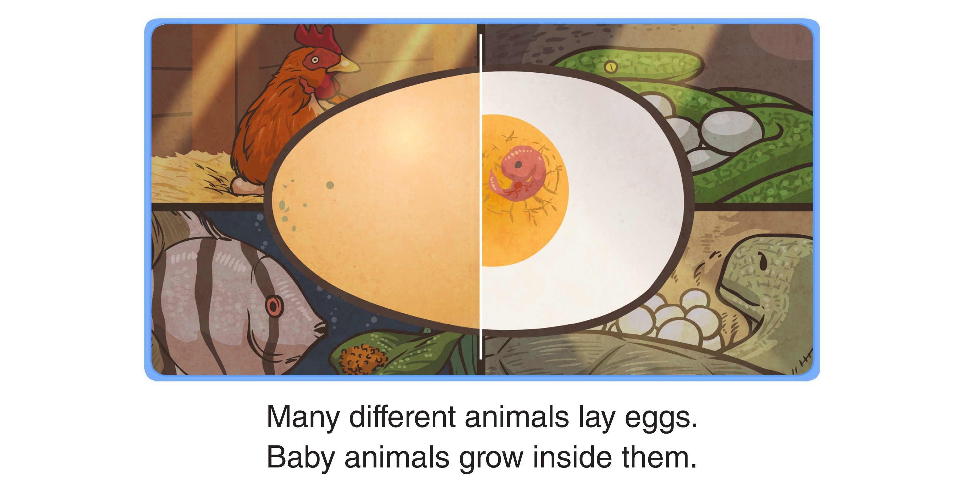 Eggs绘本故事第2页
