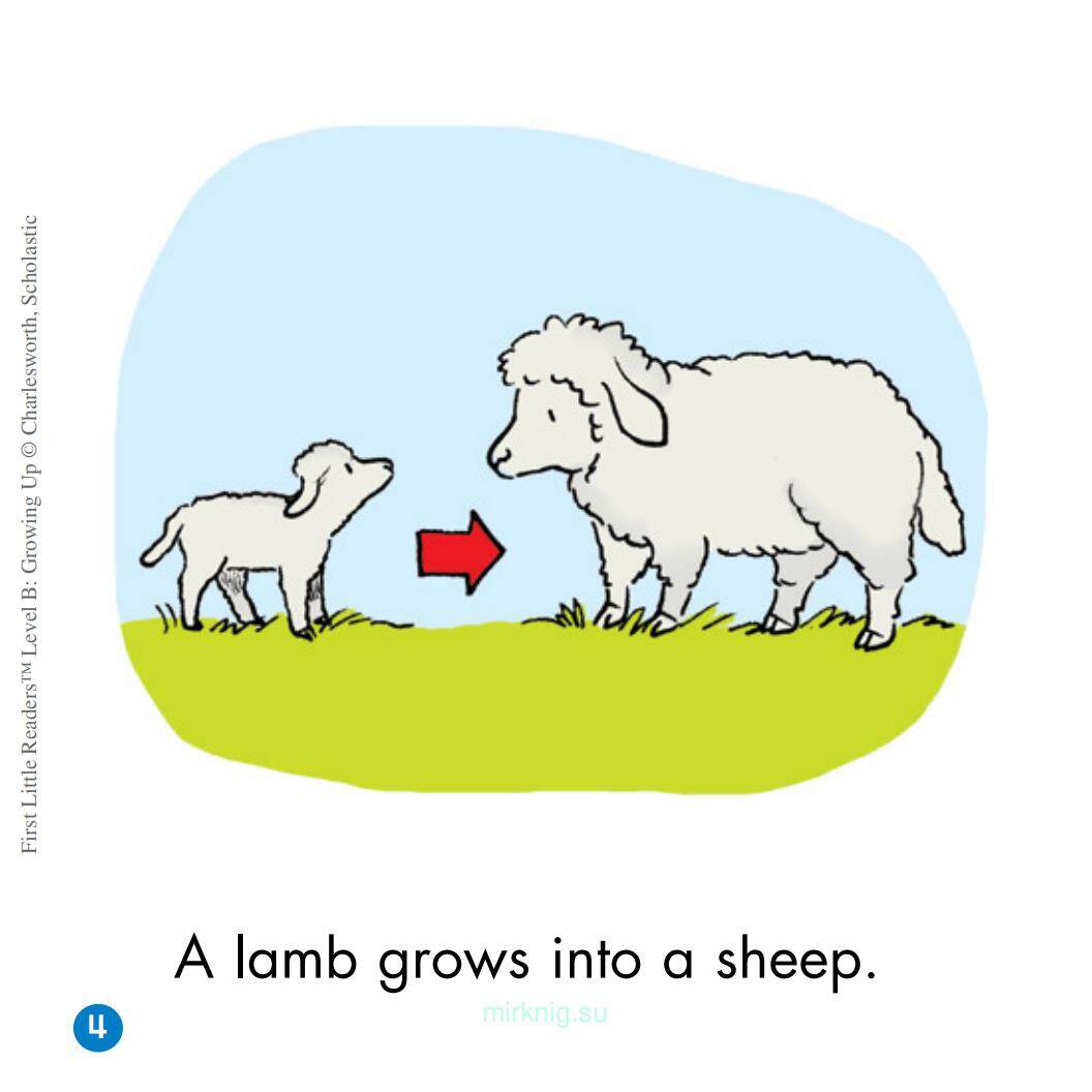 Growing Up绘本故事第5页