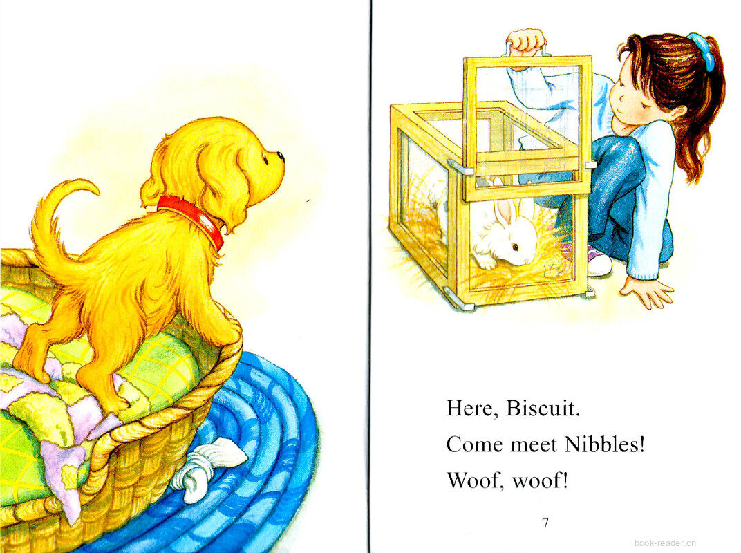 Biscuit Meets the Class Pet绘本故事第3页