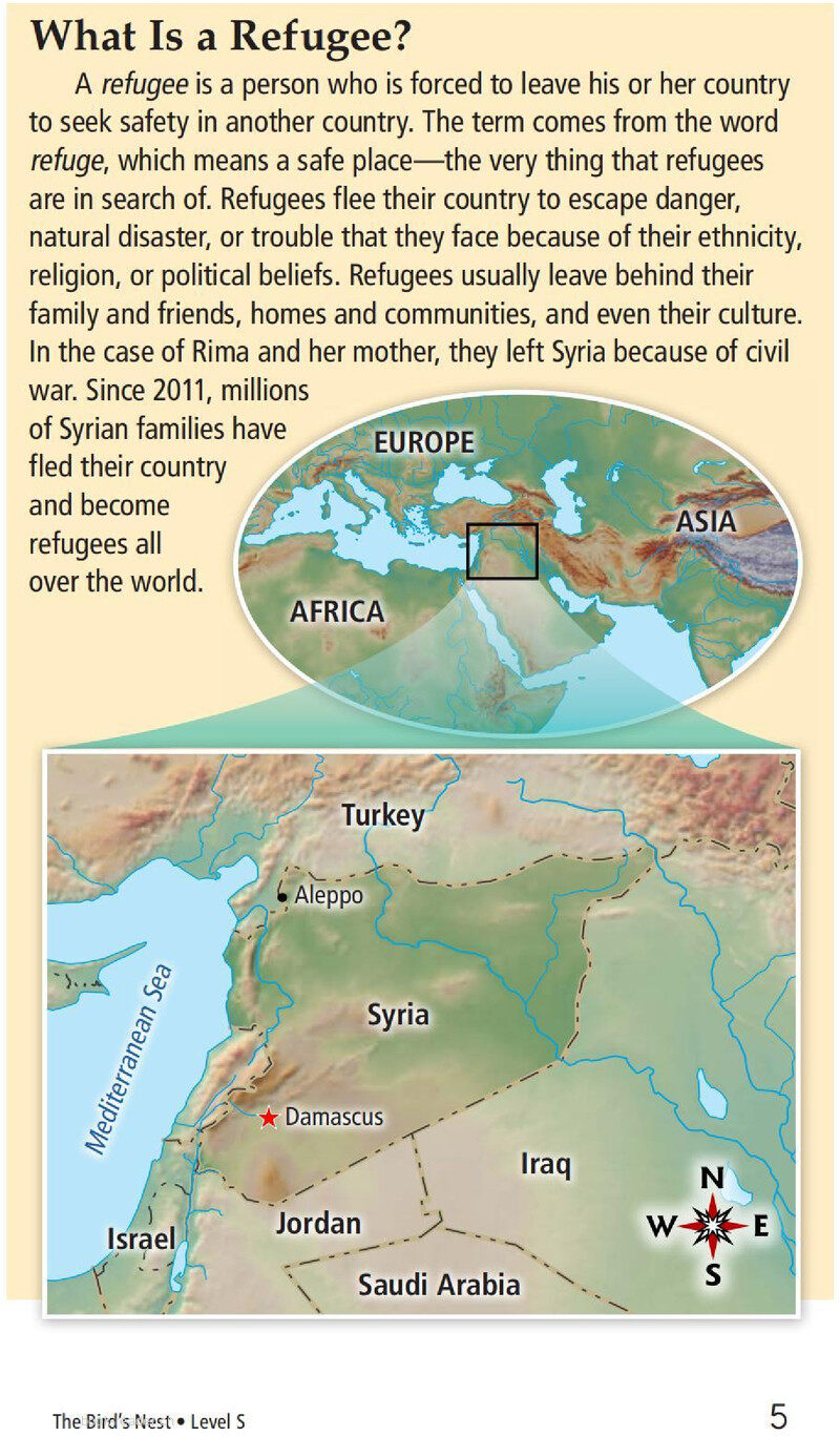 The Bird's Nest绘本故事第5页