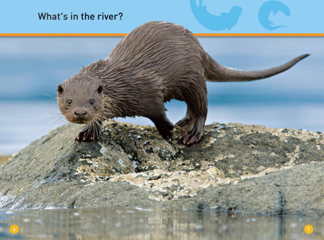 Peek Ottor绘本故事第5页