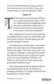 The Red Badge of Courage (Part 7)绘本故事第3页