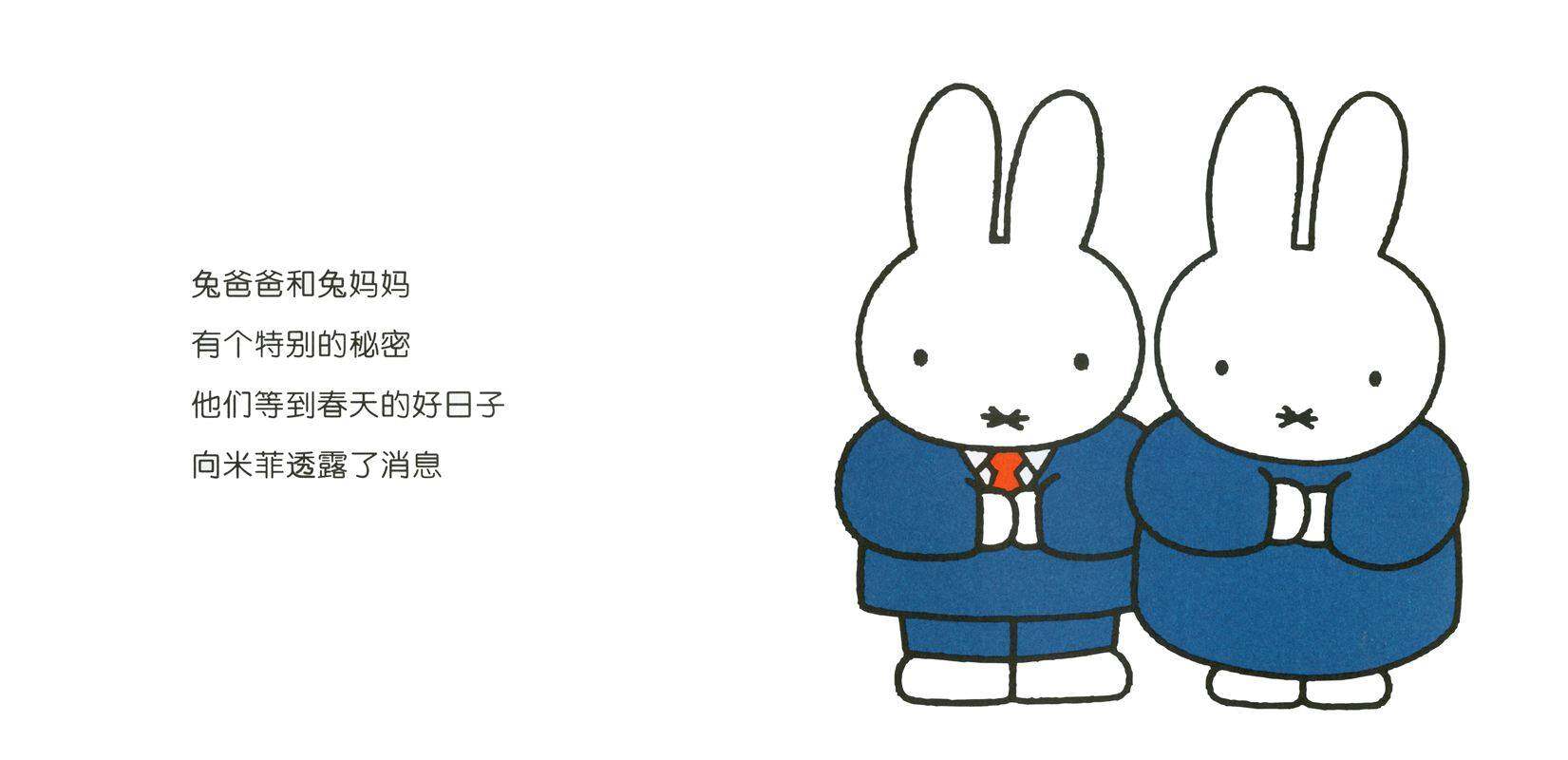 小兔宝宝绘本故事第2页