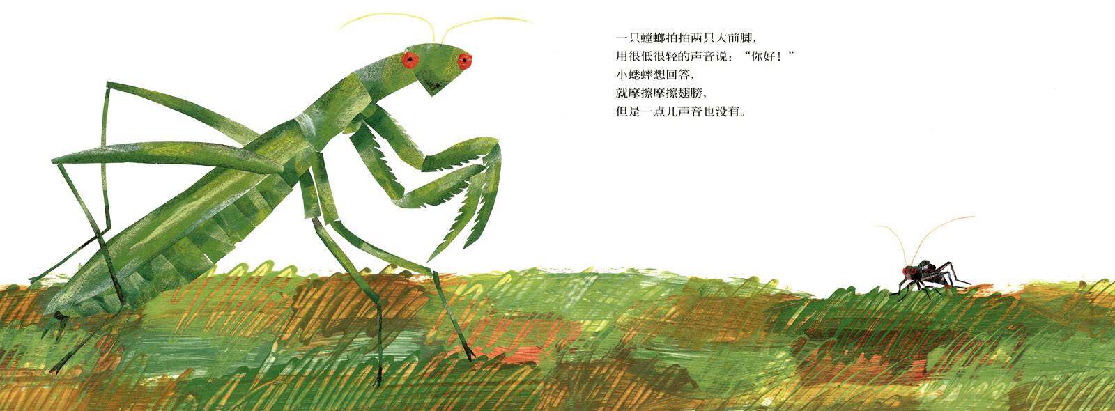 好安静的蟋蟀绘本故事第4页