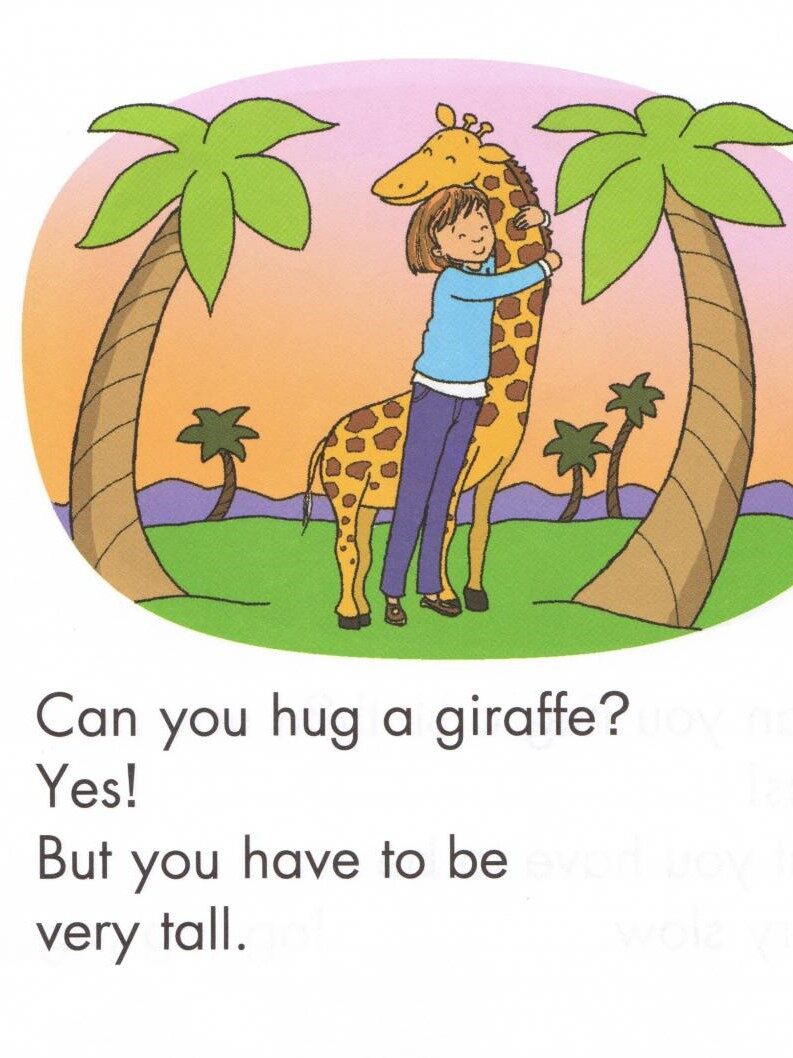 Can You Hug a Bug绘本故事第3页