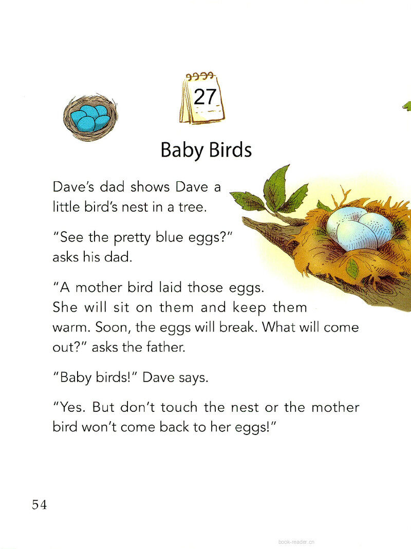 Baby Birds绘本故事第2页