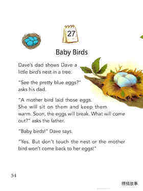 Baby Birds绘本故事第2页