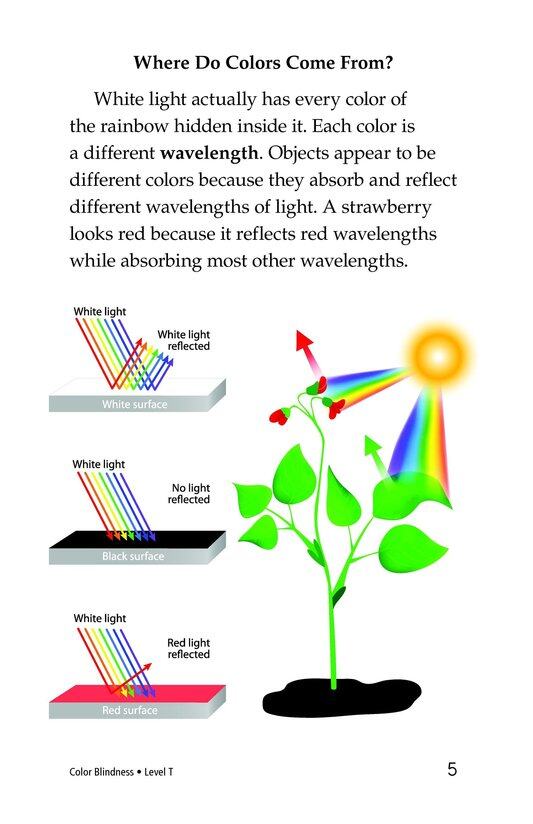 Color Blindness绘本故事第4页