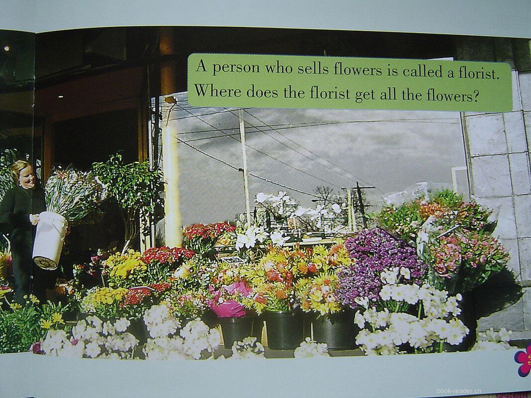 from field to florist绘本故事第4页