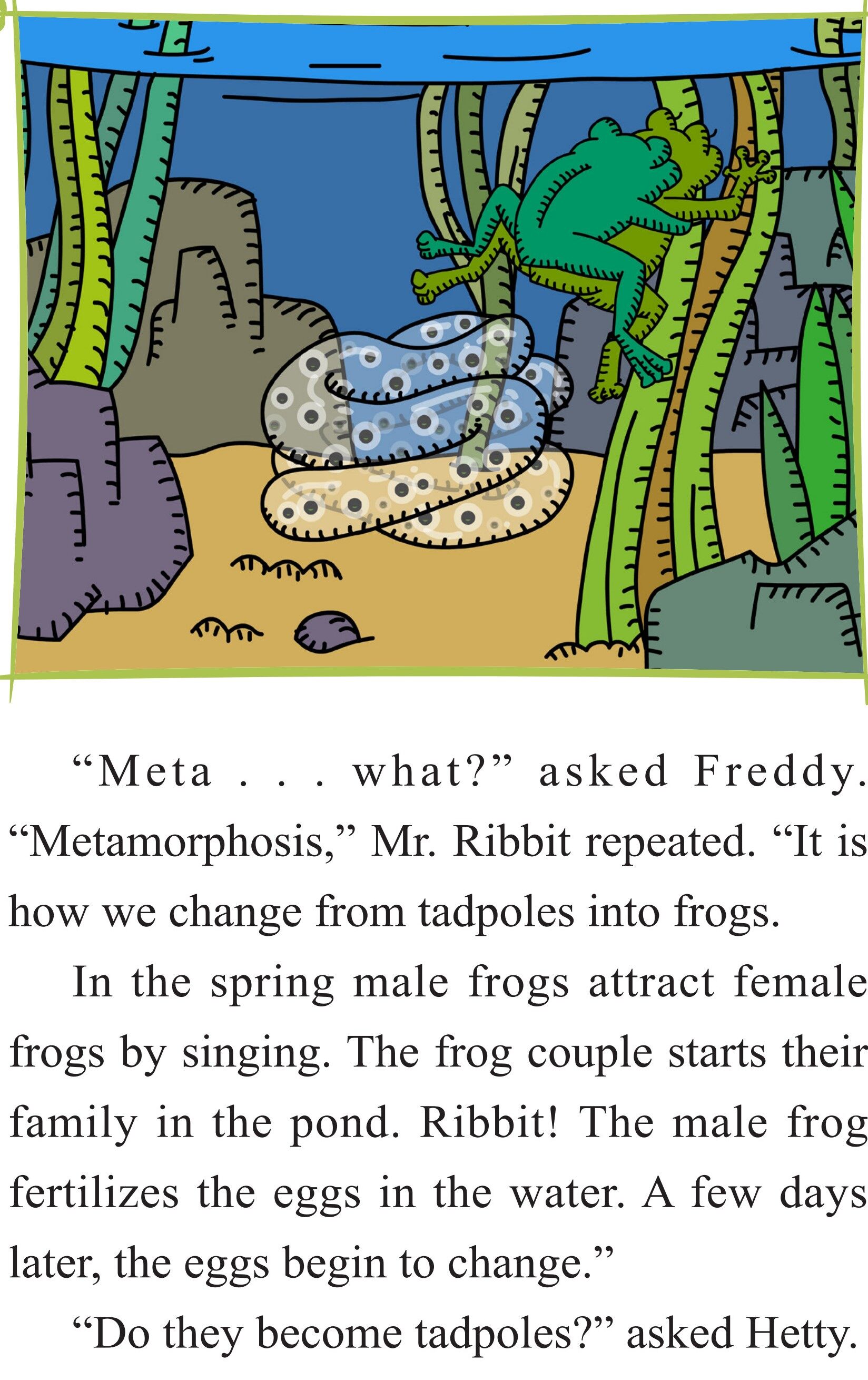 From Tadpole to Frog绘本故事第3页