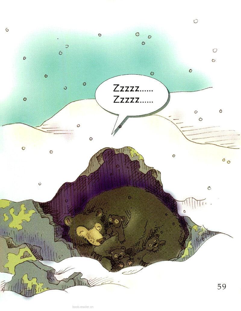 Sleeping Bear绘本故事第3页