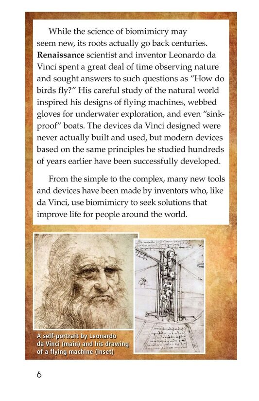 Biomimicry绘本故事第5页