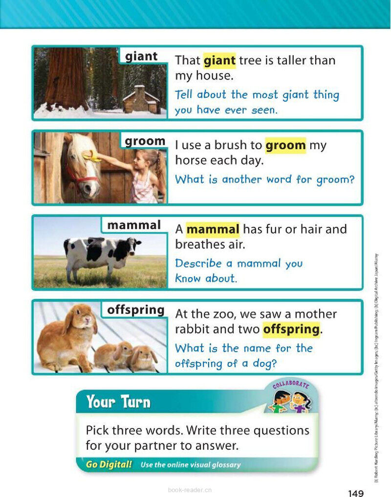 G2 Unit 2 Week 4绘本故事第5页