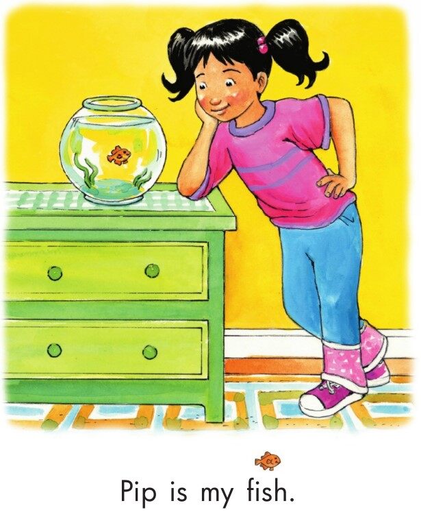 A House for Pip绘本故事第3页