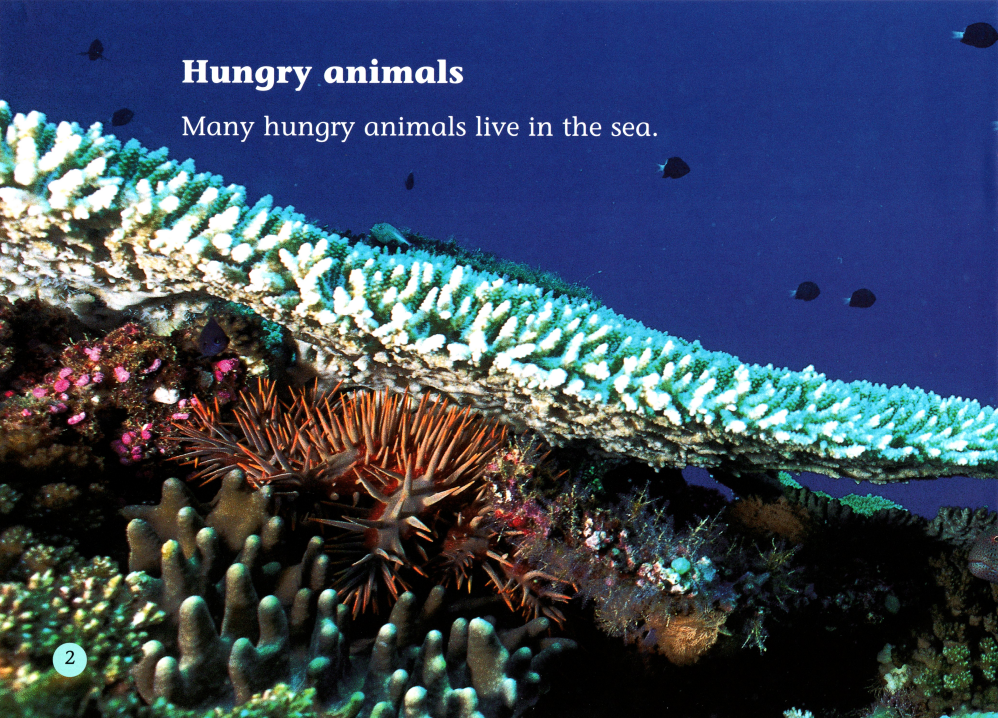 Spines,stings and teeth绘本故事第3页