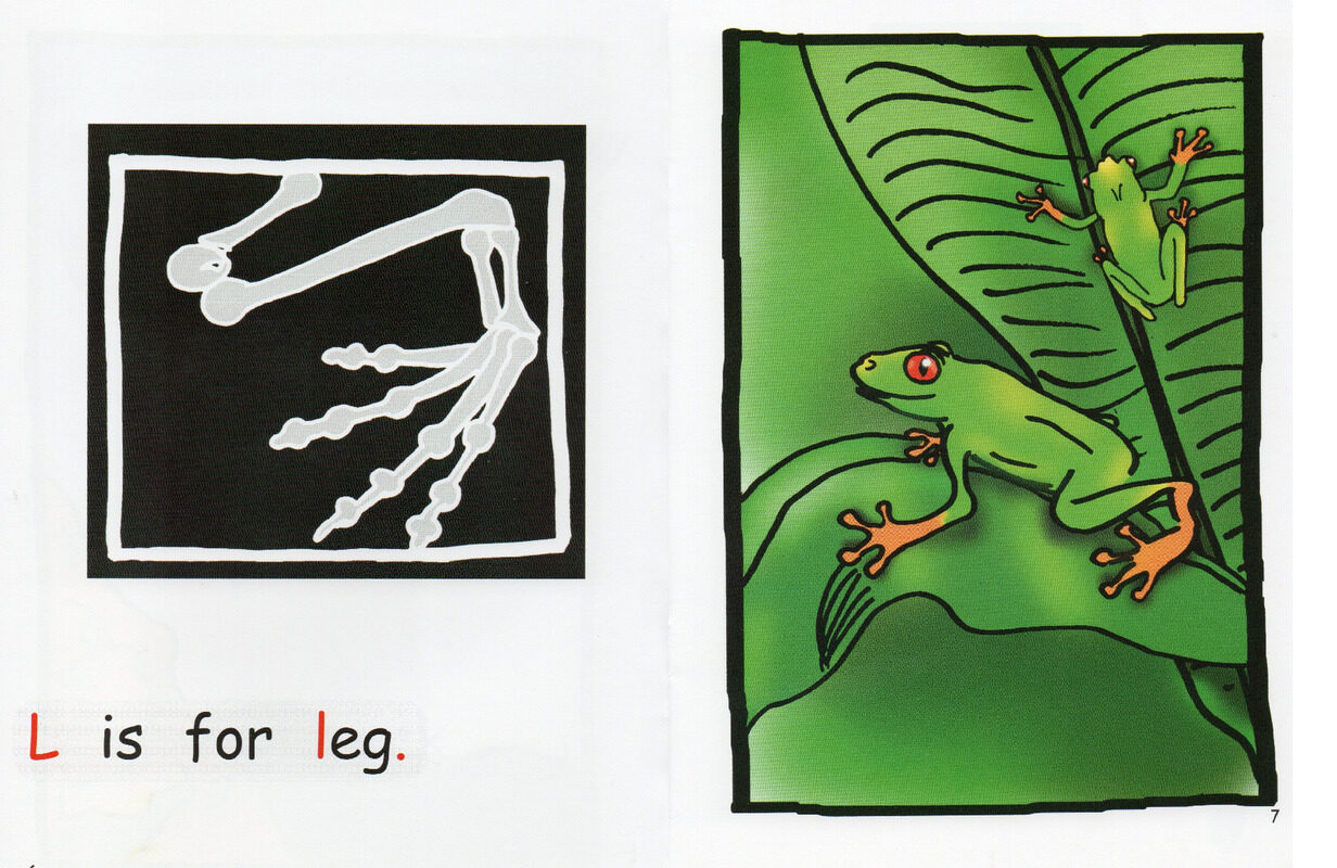 x-rays绘本故事第5页