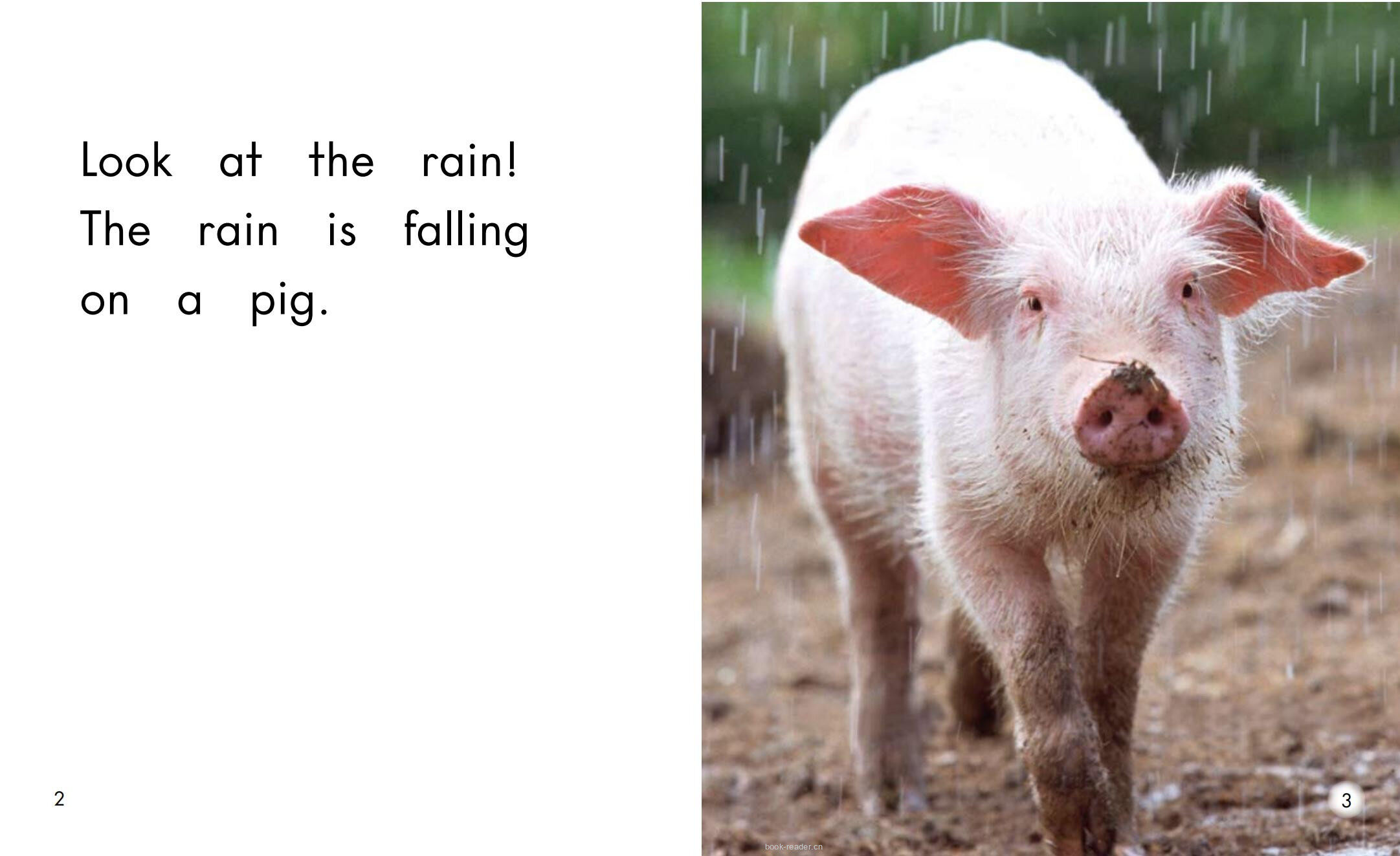 Rain绘本故事第3页