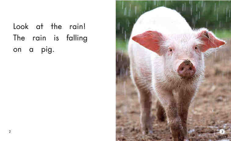 Rain绘本故事第3页