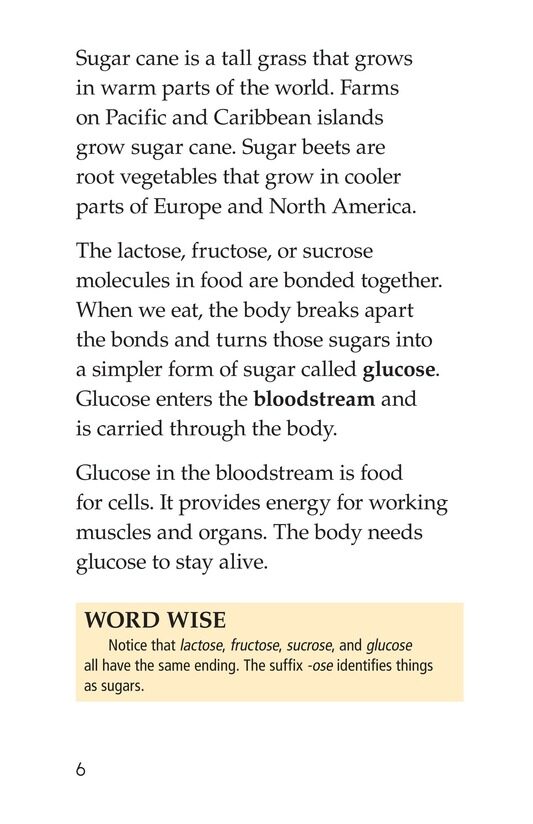 Sugar,Sugar,Everywhere绘本故事第5页