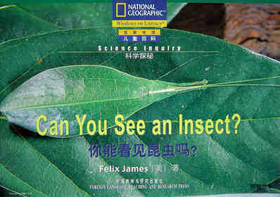 Can You See An Insect