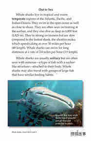 Whale Sharks Giant Fish绘本故事第5页