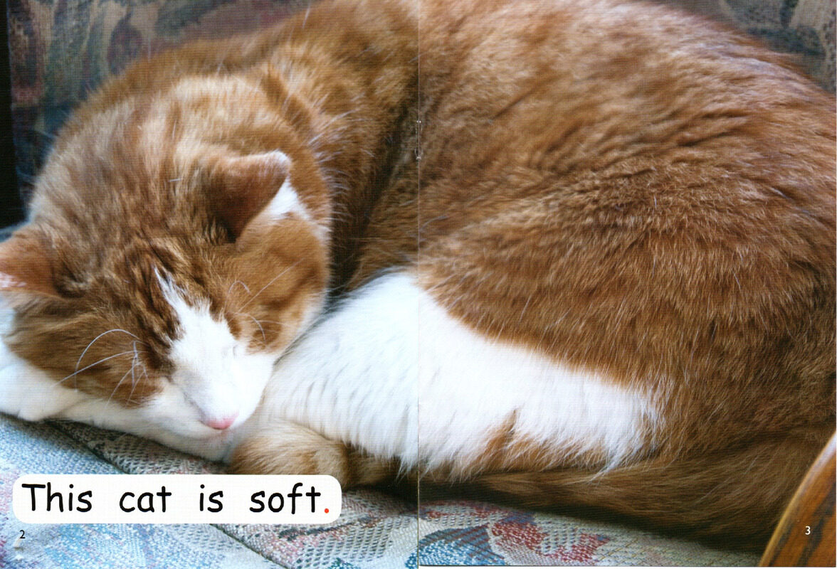 what is soft？绘本故事第3页