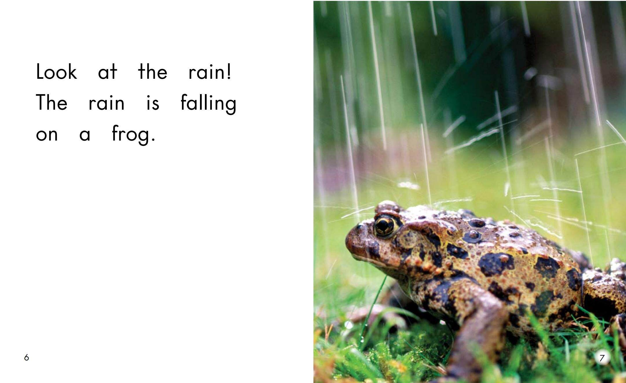 Rain绘本故事第5页