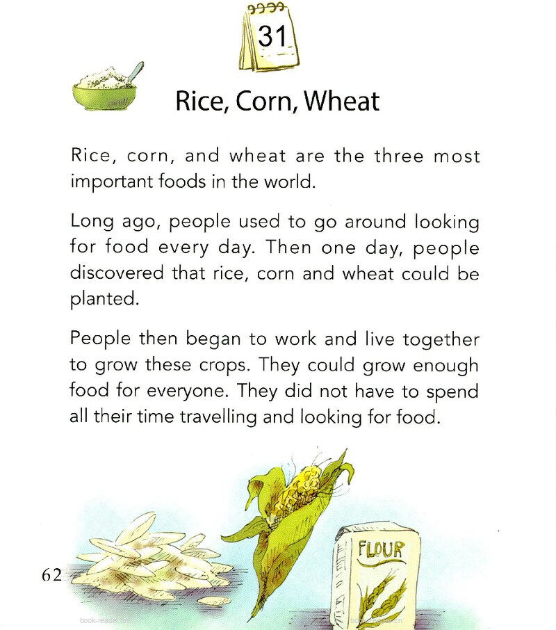 Rice, Corn, Wheat绘本故事第2页