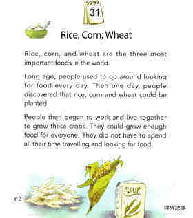 Rice, Corn, Wheat绘本故事第2页