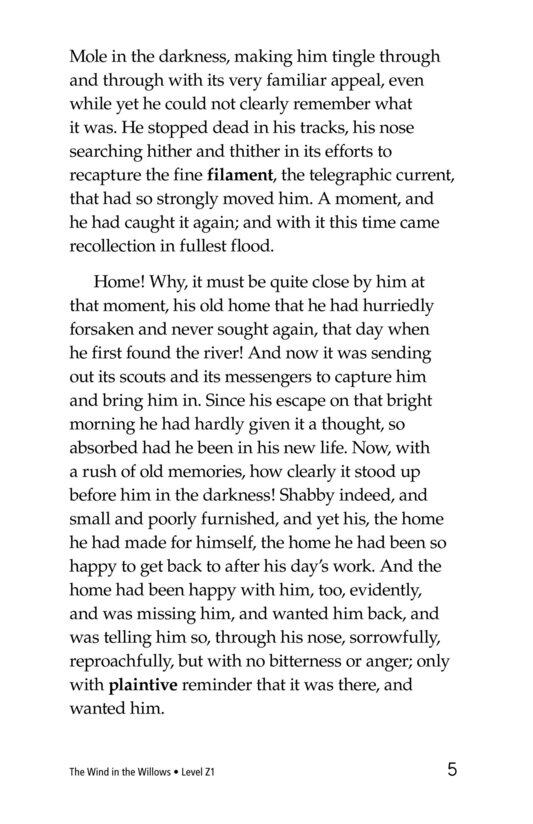The Wind in the Willows (Part 5)绘本故事第5页