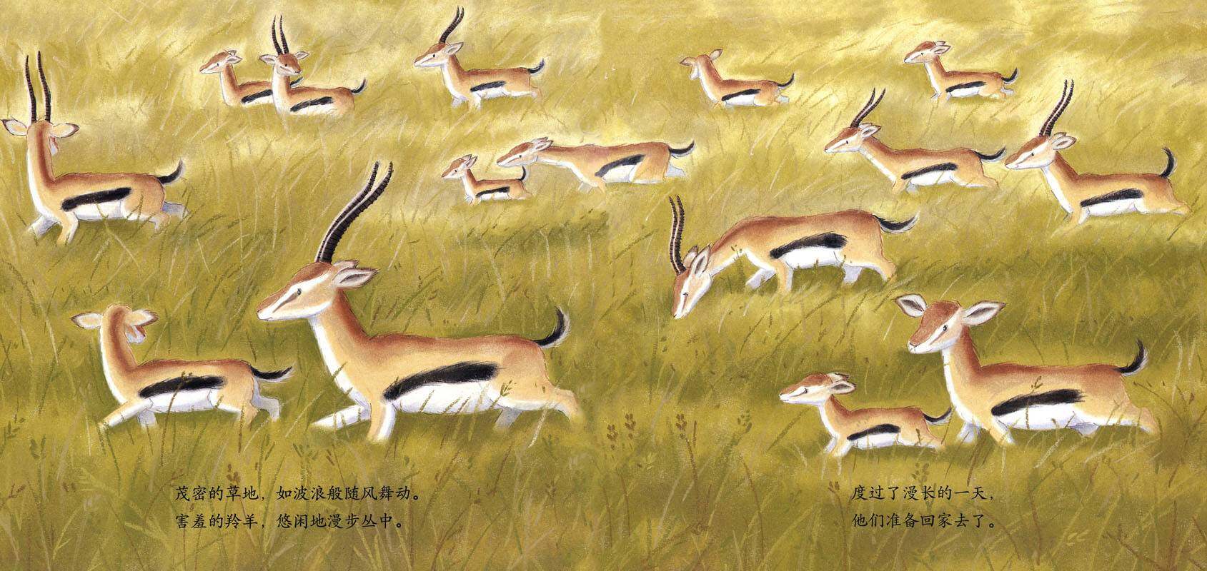 暖房子经典绘本系列·第一辑·亲情篇：相拥而眠绘本故事第4页