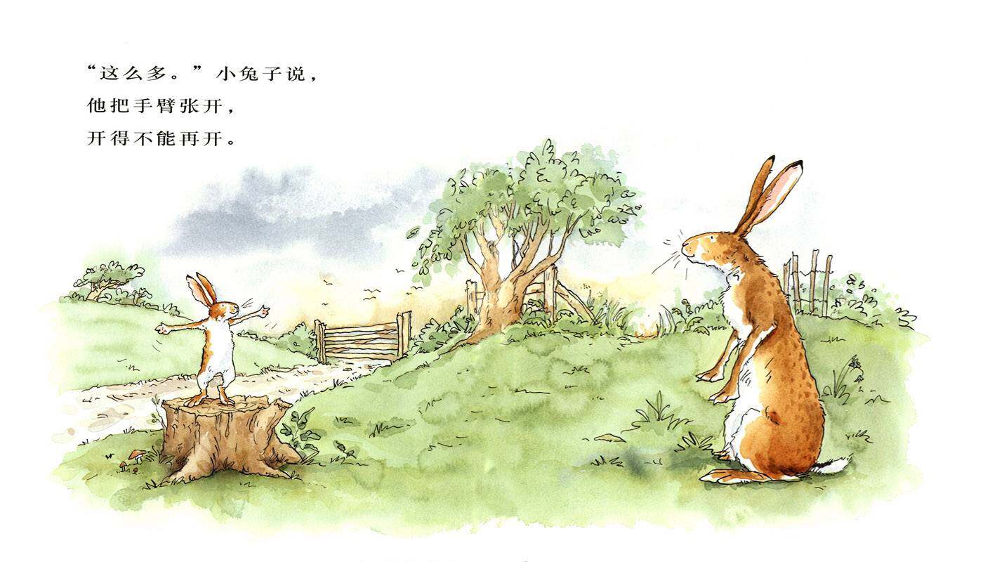 猜猜我有多爱你绘本故事第4页