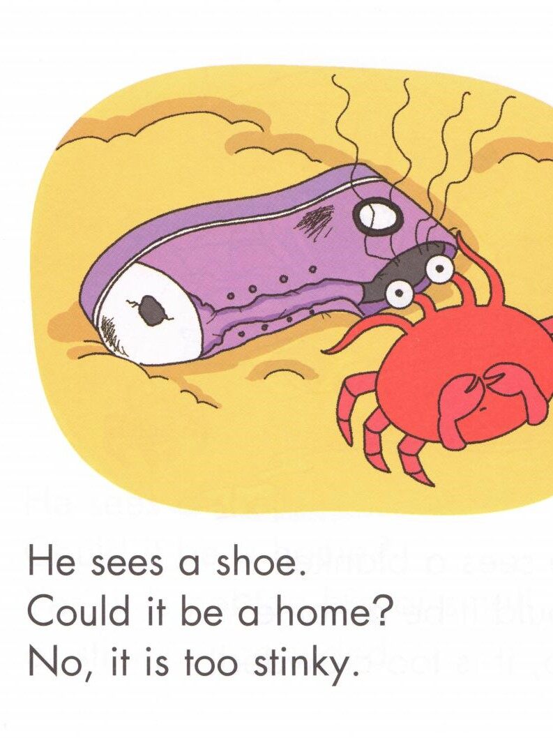 Hermit Crab's Home绘本故事第5页